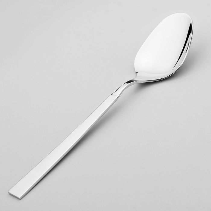 Ложка столовая «Астра», h=19,8 см, толщина 2,5 мм, цвет серебряный