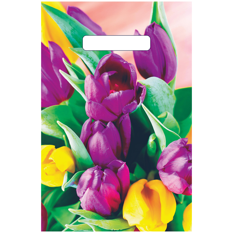 Пакет с прорубной ручкой Артпласт "Кассандра", 20*30см, 30мкм