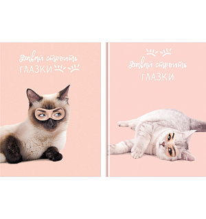 Бизнес-блокнот А5, 80л., BG "Строим глазки", матовая ламинация, выб.лак