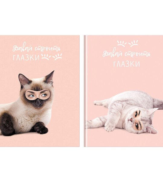 Бизнес-блокнот А5, 80л., BG "Строим глазки", матовая ламинация, выб.лак