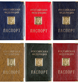 Обложка для паспорта OfficeSpace ПВХ, шильд, ассорти, тиснение золото "Герб"