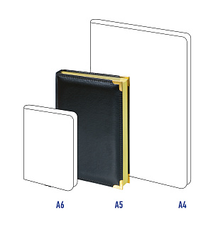 Ежедневник недатированный, A5, 160л., кожа, Delucci, гладкая кожа, золот. срез, черный