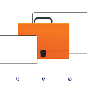 Папка-портфель 1 отделение Berlingo "Color Zone" A4, 330*230*35мм, 1000мкм, оранжевая