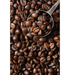 Кофе в зернах COFFESSO "Crema", 1000 г, вакуумная упаковка, 101214