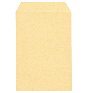 Пакет почтовый С5, Курт и К, 162*229мм, коричневый крафт, отр. лента, 90г/м2