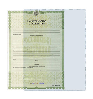 Обложка-карман для документов А4 и свидетельств ДПС, 305*222мм, ПВХ, прозрачная