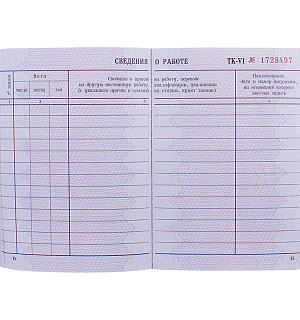 Бланк "Трудовая книжка" Гознак
