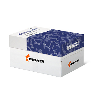 Бумага Снегурочка А3, Марка С, 500л.