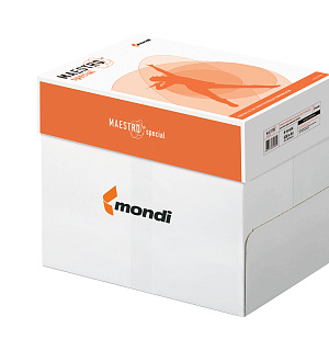 Бумага Maestro "Special" А4, Марка В, 500л.