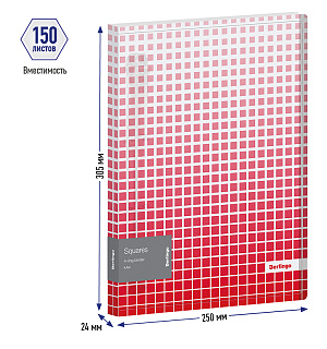 Папка на 4 кольцах Berlingo "Squares", 24мм, 600мкм, D-кольца, с внутр. карманом
