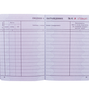 Бланк "Трудовая книжка" Гознак