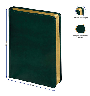 Ежедневник недатир. А6, 160л., кожзам, Berlingo "xGold", зол. срез, зеленый