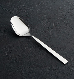 Ложка столовая «Астра», h=19,8 см, толщина 2,5 мм, цвет серебряный