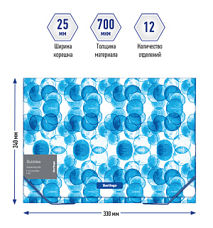 Папка 12 отделений Berlingo "Bubbles" A4, 330*240*25мм, 700мкм, на резинке, c рисунком