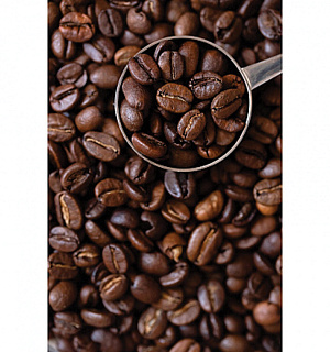 Кофе в зернах COFFESSO "Espresso", 1000 г, вакуумная упаковка, 101215