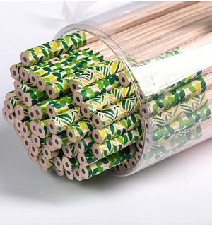 Карандаш ч/г Berlingo "Green Series" HB, шестигран., заточен., пластиковый, ассорти