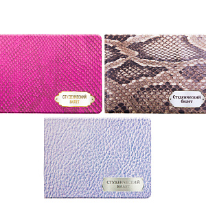 Обложка для студенческого билета OfficeSpace ПВХ, фотопечать