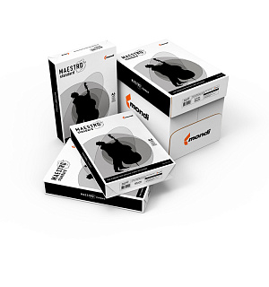 Бумага Maestro "Standard" А4, Марка С, 500л.