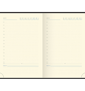 Ежедневник недатированный, A5, 160л., кожа, Delucci, гладкая кожа, золот. срез, черный