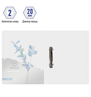 Папка на 2 кольцах Berlingo "Eco XS", 24мм, 600мкм, с рисунком, D-кольца, с внутр. карманом
