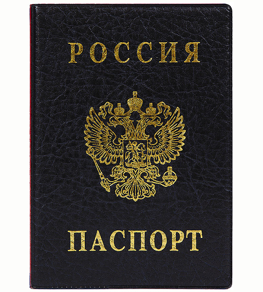 Обложка для паспорта ДПС, ПВХ, тиснение "Герб", черный