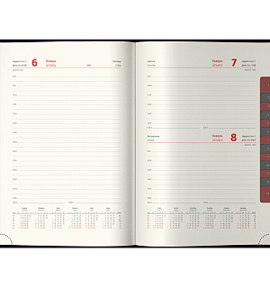 Ежедневник датированный 2023г., А4-(B5), 184л.,  кожа, Delucci, фактурная кожа, зол. срез, коричневый