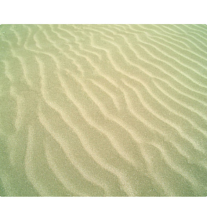 Коврик для мыши Defender 220*180*0.4мм, пластик. Sticker, ассорти 8 видов