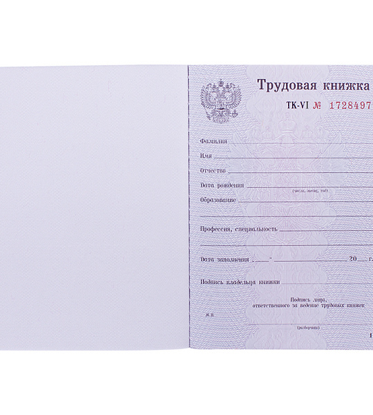 Бланк "Трудовая книжка" Гознак