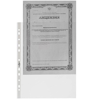 Папка-вкладыш с перфорацией Durable, А4, 60мкм, глянцевая