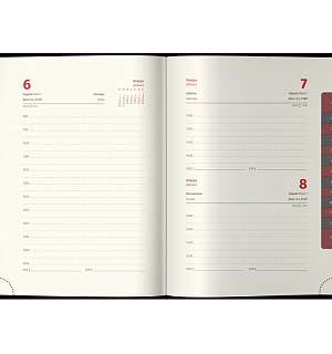 Ежедневник датированный 2023г., А6, 184л.,  кожа, Delucci, гладкая кожа, зол. срез, черный